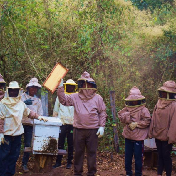 Das Bild zeigt mehrere Personen vor einem Bienenstock in Schutzkleidung. In der Mitte hält eine Person eine Wabe hoch.
