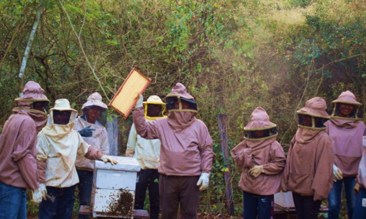 Das Bild zeigt mehrere Personen vor einem Bienenstock in Schutzkleidung. In der Mitte hält eine Person eine Wabe hoch.