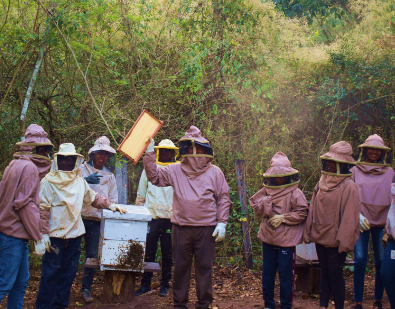 Das Bild zeigt mehrere Personen vor einem Bienenstock in Schutzkleidung. In der Mitte hält eine Person eine Wabe hoch.
