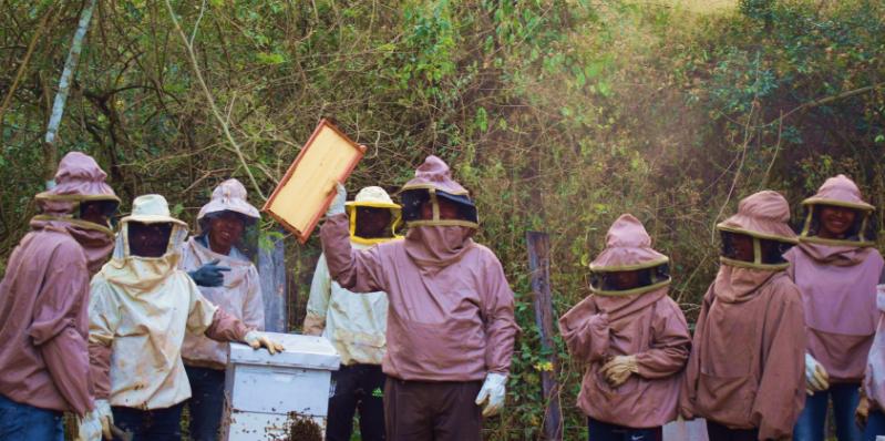 Das Bild zeigt mehrere Personen vor einem Bienenstock in Schutzkleidung. In der Mitte hält eine Person eine Wabe hoch.