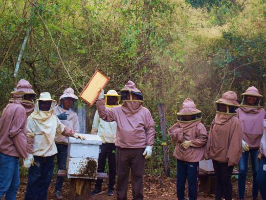 Das Bild zeigt mehrere Personen vor einem Bienenstock in Schutzkleidung. In der Mitte hält eine Person eine Wabe hoch.