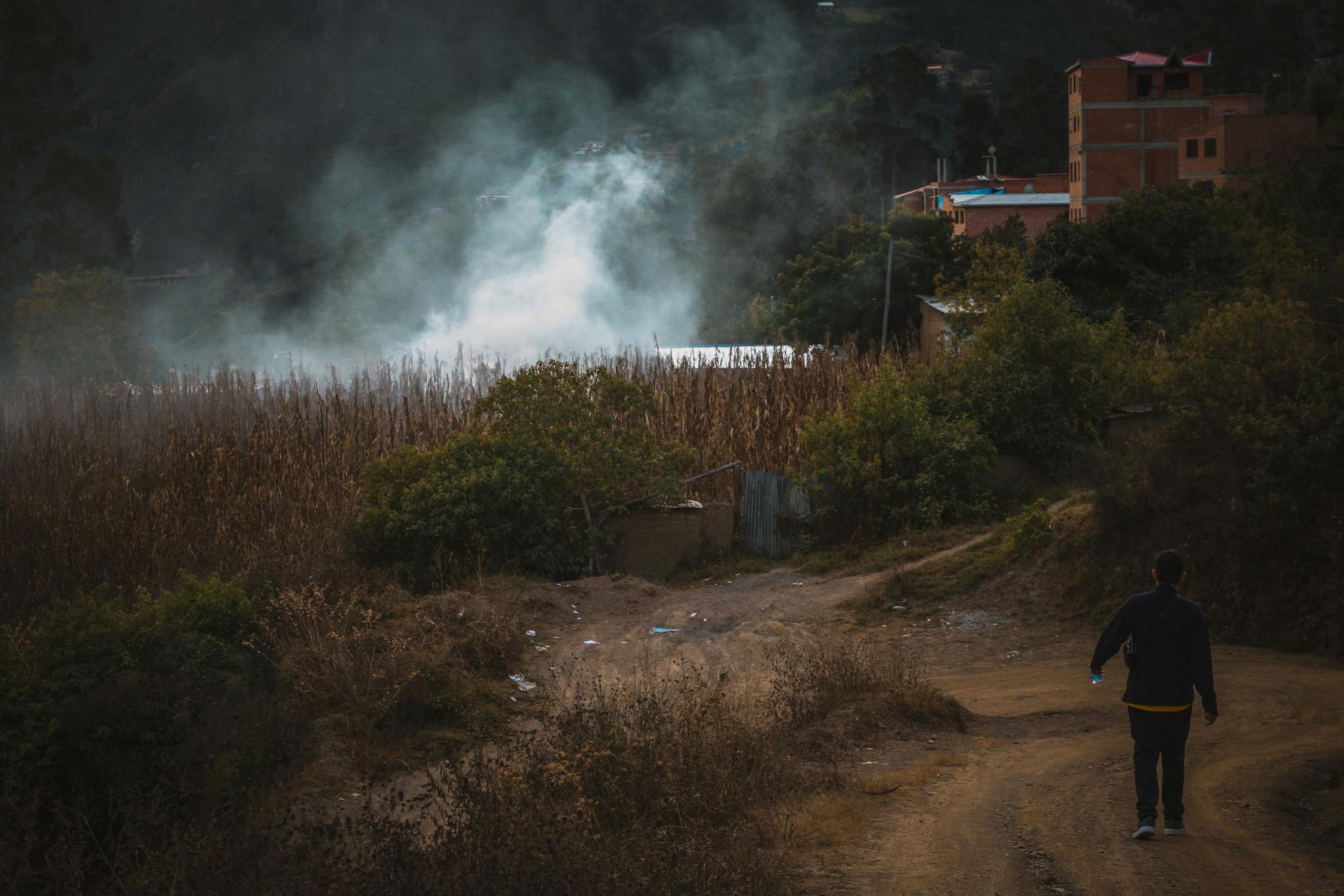 Das Bild zeigt Brandrodung in Bolivien